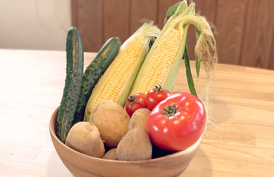 収穫野菜